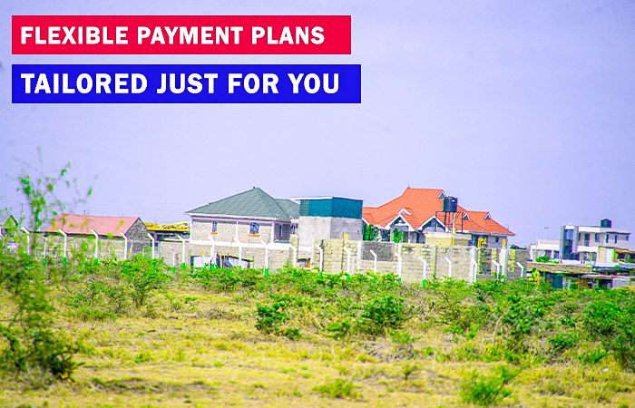Kenyan Land Search and Survey Verification