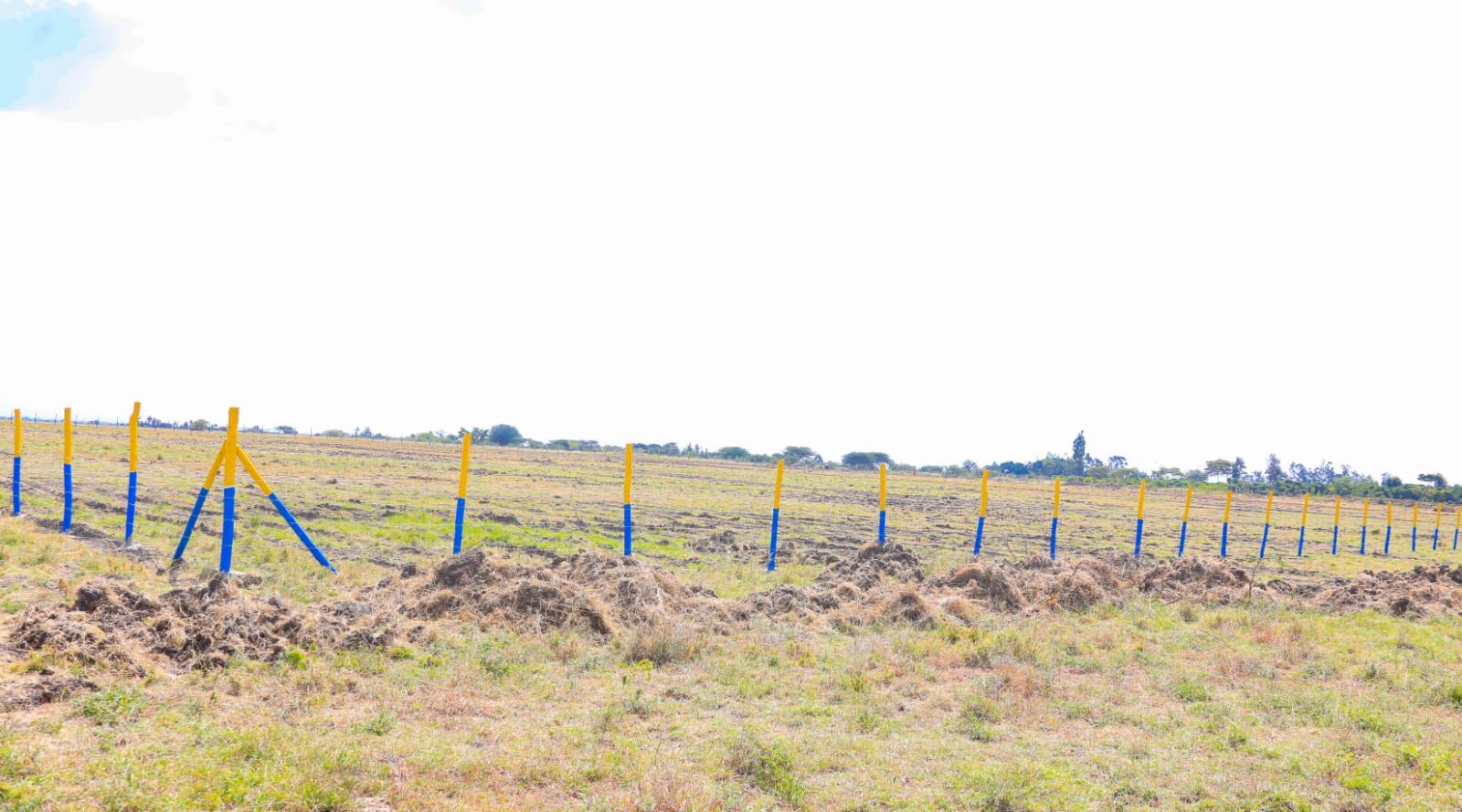Value Added Plots and Beacon Inspection